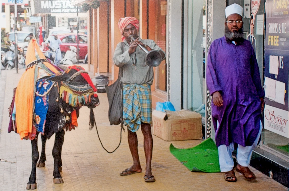 दिल्ली में फोटोग्राफी प्रदर्शनी ‘द बिग पिक्चर 2019’ का आयोजन