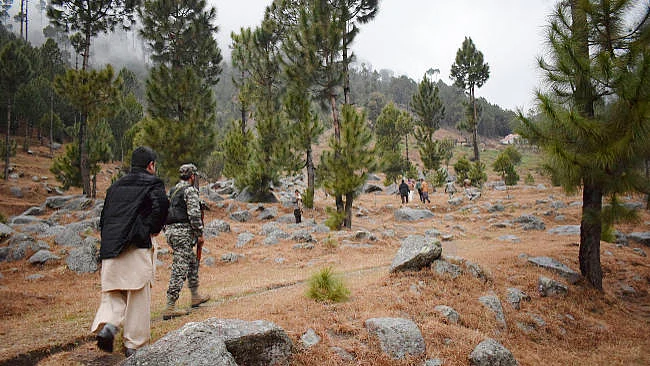 फोटो : सोशल मीडिया