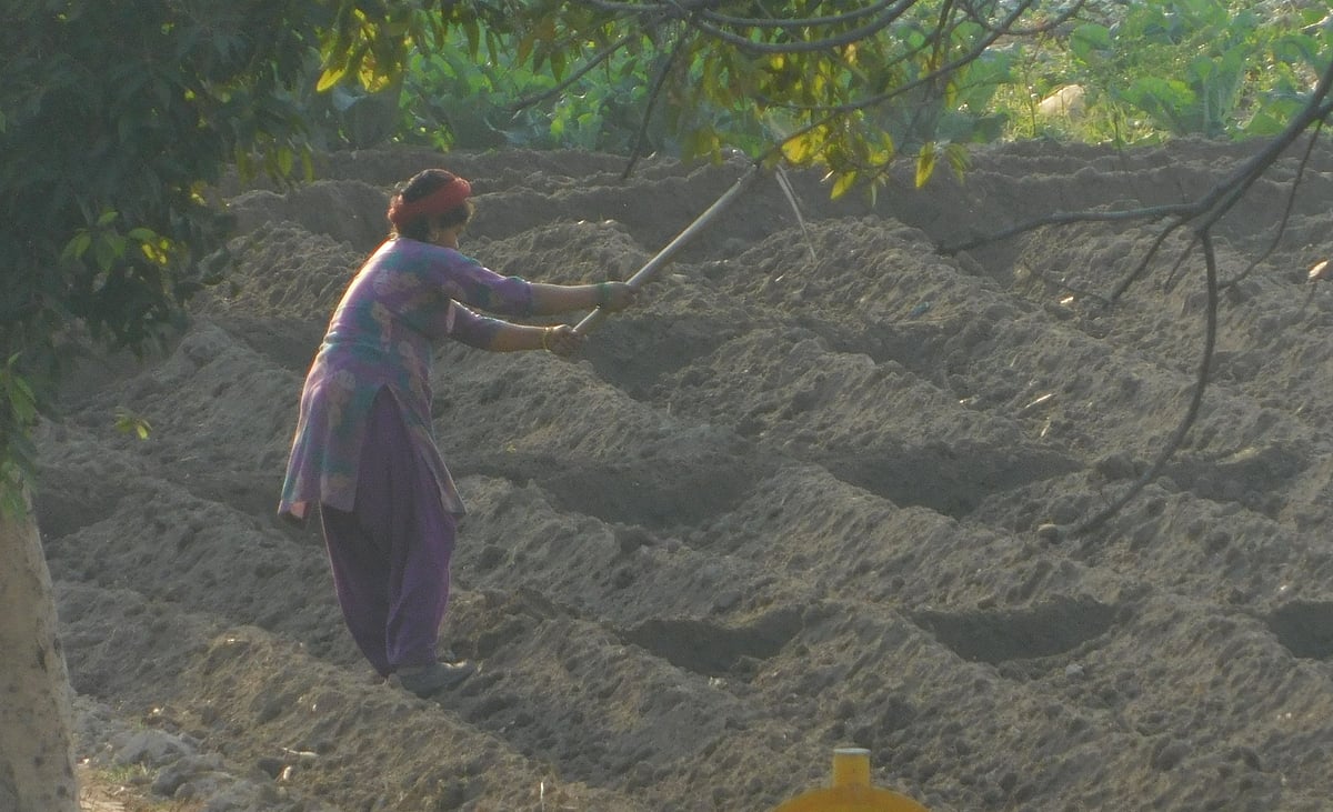 पुरुषों की तुलना में महिलाएं जलवायु परिवर्तन को लेकर अधिक सजग, सबसे ज्यादा उन्हीं पर पड़ता है असर