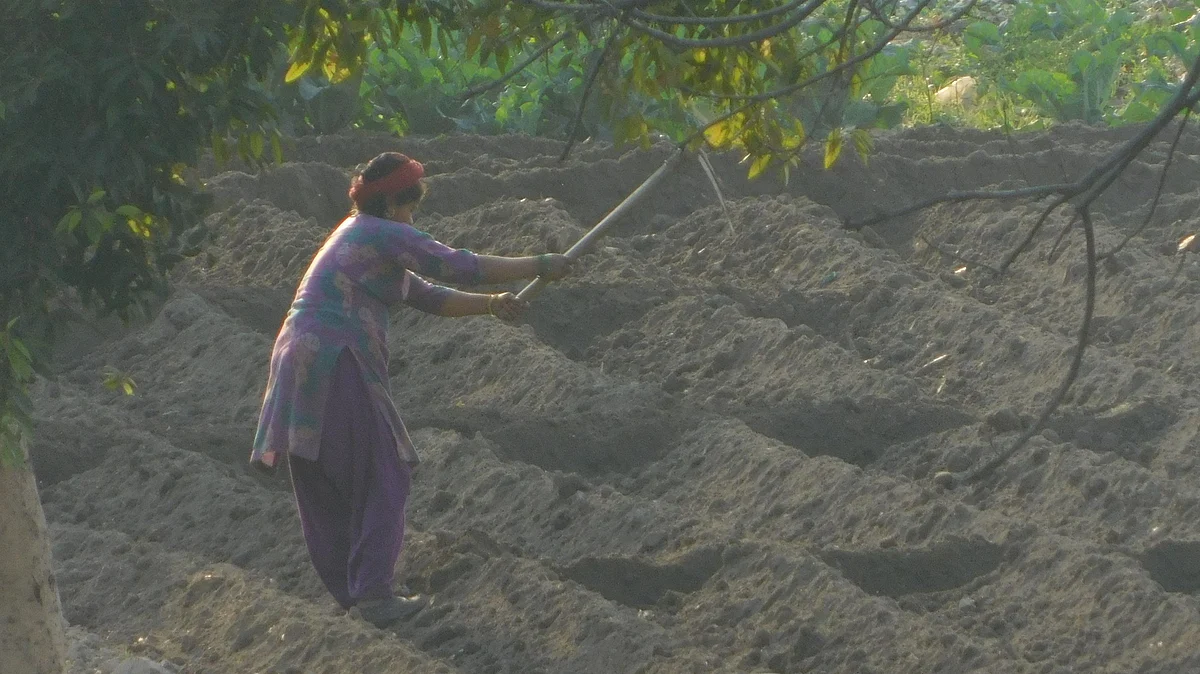 फोटोः सोशल मीडिया