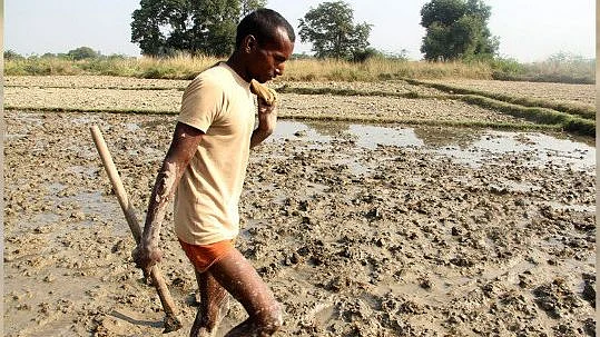 फोटोः सोशल मीडिया