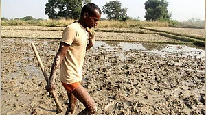 पीएम मोदी के किसान सम्मान पर सवाल, 6 साल में बेरोजगार हो गए 3 करोड़ खेतिहर मजदूर