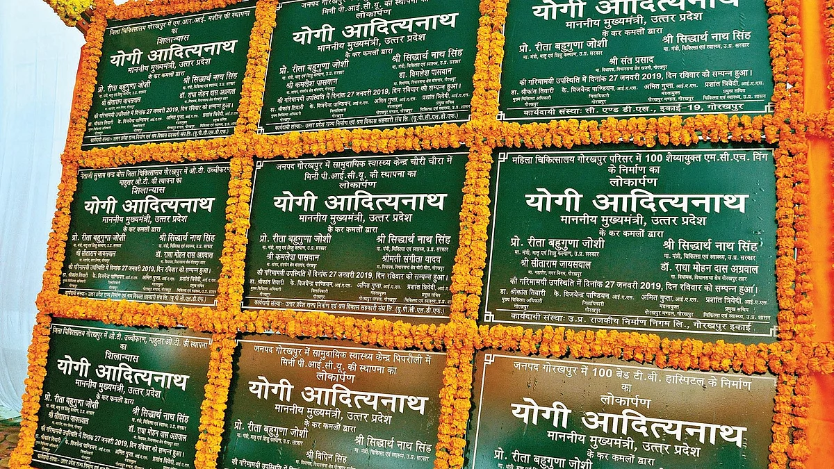फोटो : सोशल मीडिया