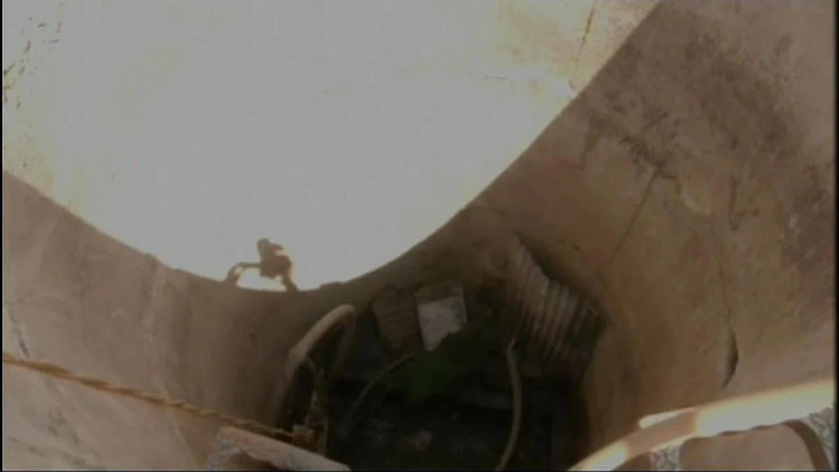 फोटो: सोशल मीडिया 