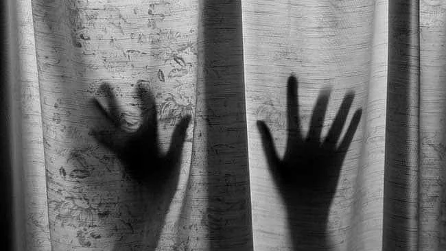 फोटो: सोशल मीडिया&nbsp;