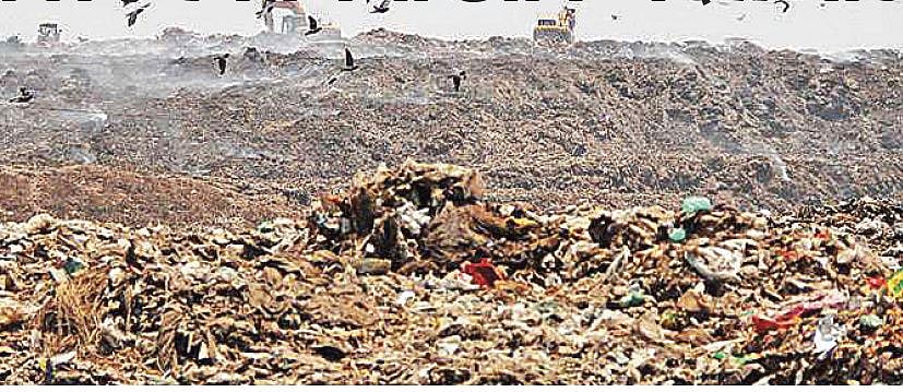 जिस ‘गुजरात मॉडल’ को बेचकर मोदी बने पीएम, उसकी हकीकत जानकर चौंक जाएंगे आप