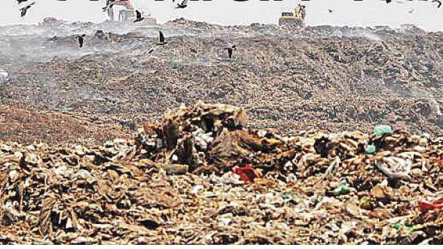 फोटोः सोशल मीडिया