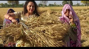 इलेक्शन हाईवे: मथुरा में बीजेपी विधायक और कार्यकर्ताओं की खुली बगावत, इस बार टूट जाएगा ‘ड्रीम गर्ल’ का सपना