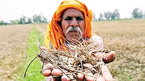 मोदी सरकार के पांच साल में खेती-किसानी के सामने खड़ा हुआ सबसे बड़ा संकट