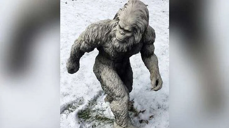 फोटो: सोशल मीडिया