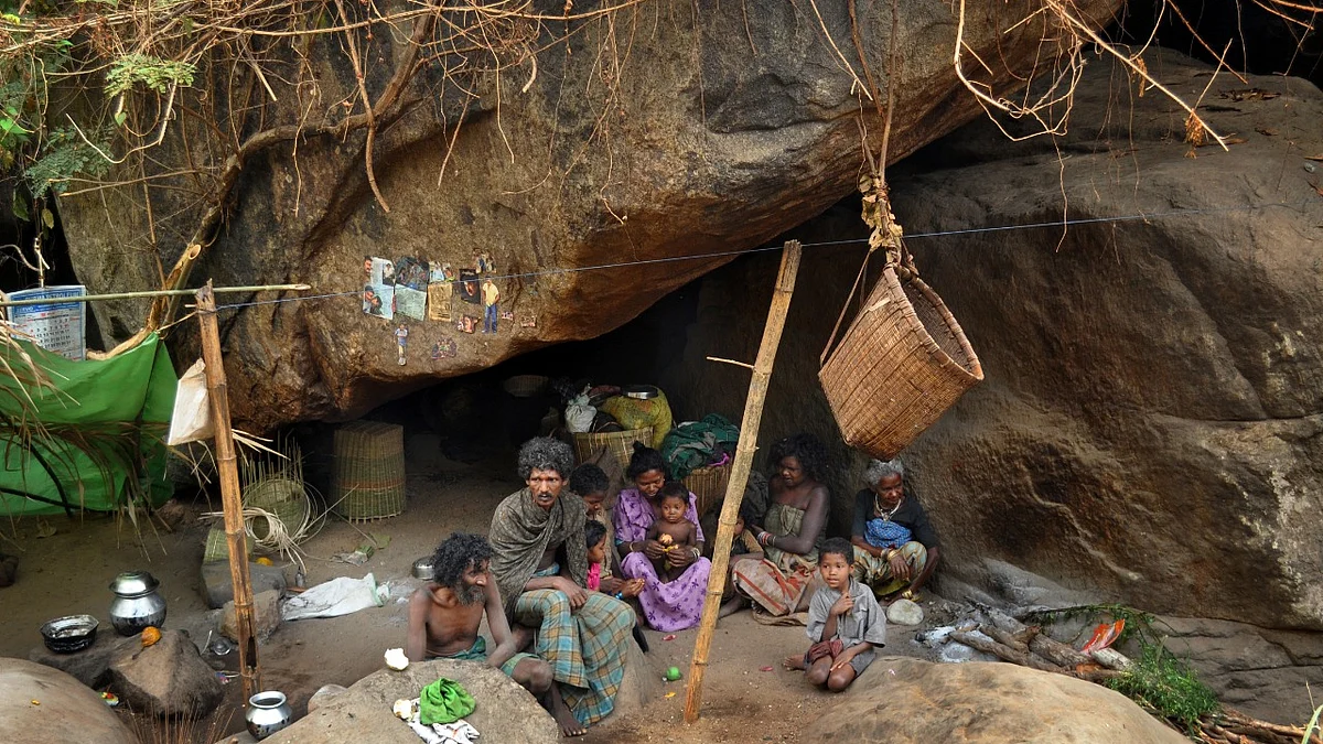 फोटो सौजन्य : अजीब कोमाची