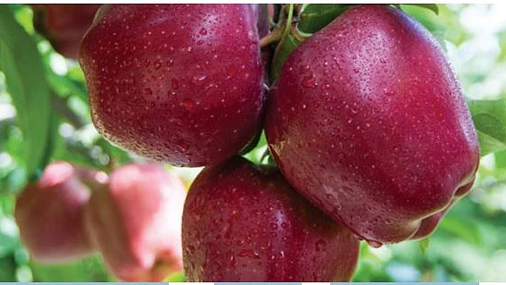 फोटोः सोशल मीडिया