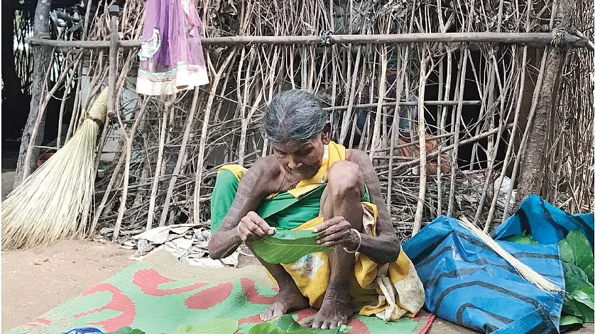 फोटोः सोशल मीडिया