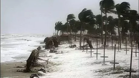 फोटो: सोशल मीडिया&nbsp;