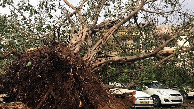 फोटो: सोशल मीडिया