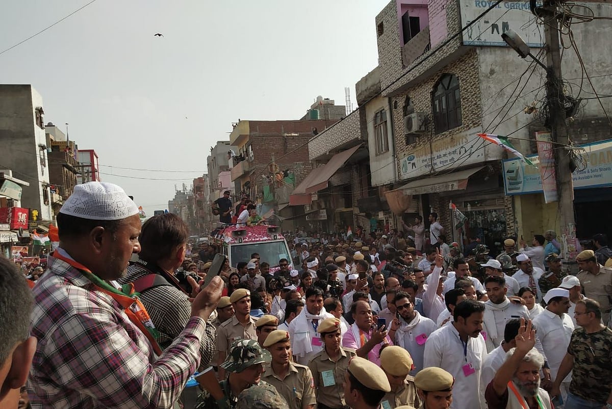 फोटो: विपिन