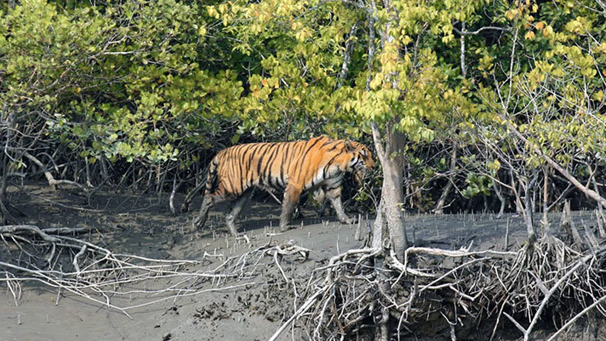 फोटोः सोशल मीडिया