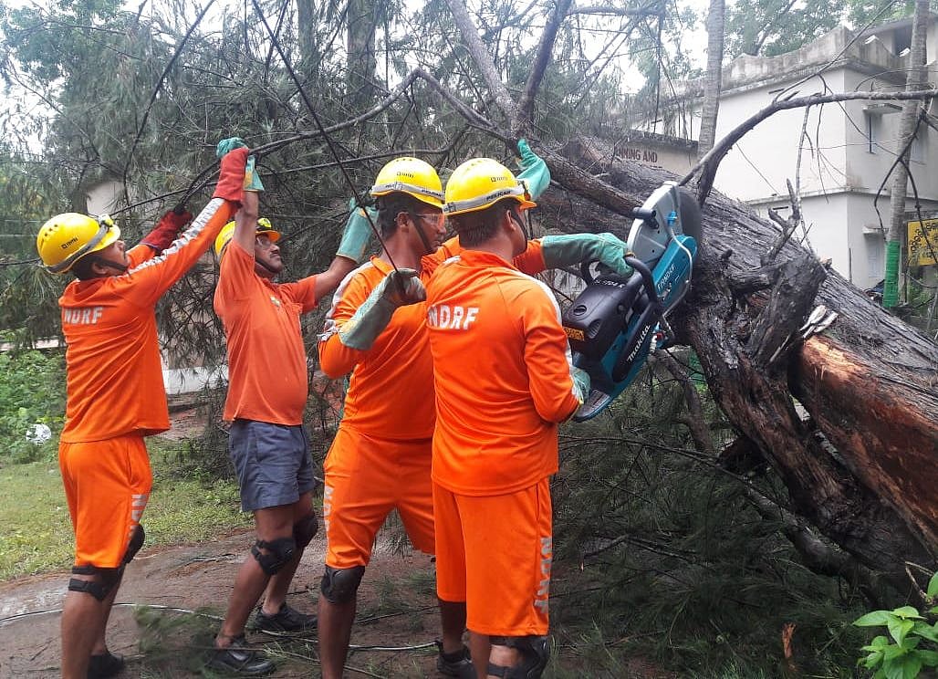‘फानी’ तूफान LIVE: कल सुबह उत्तरपूर्व में पहुंचेगा तूफान, 105 किलोमीटर की रफ्तार से चलेगी हवा