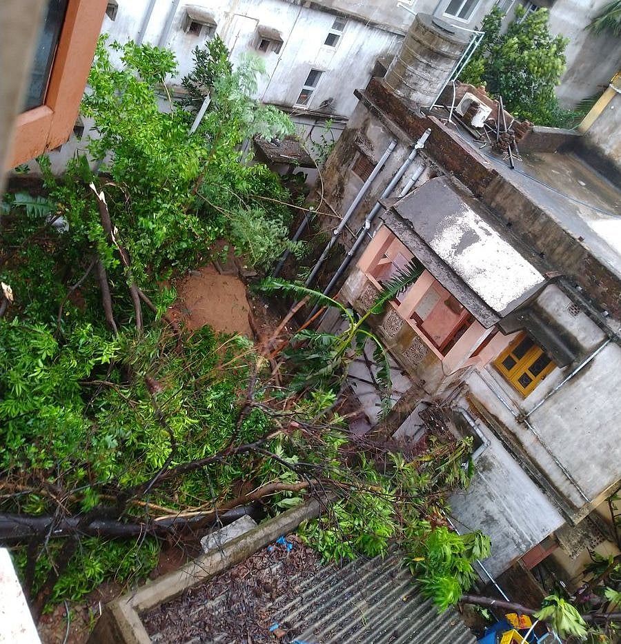 ‘फानी’ तूफान LIVE: कल सुबह उत्तरपूर्व में पहुंचेगा तूफान, 105 किलोमीटर की रफ्तार से चलेगी हवा