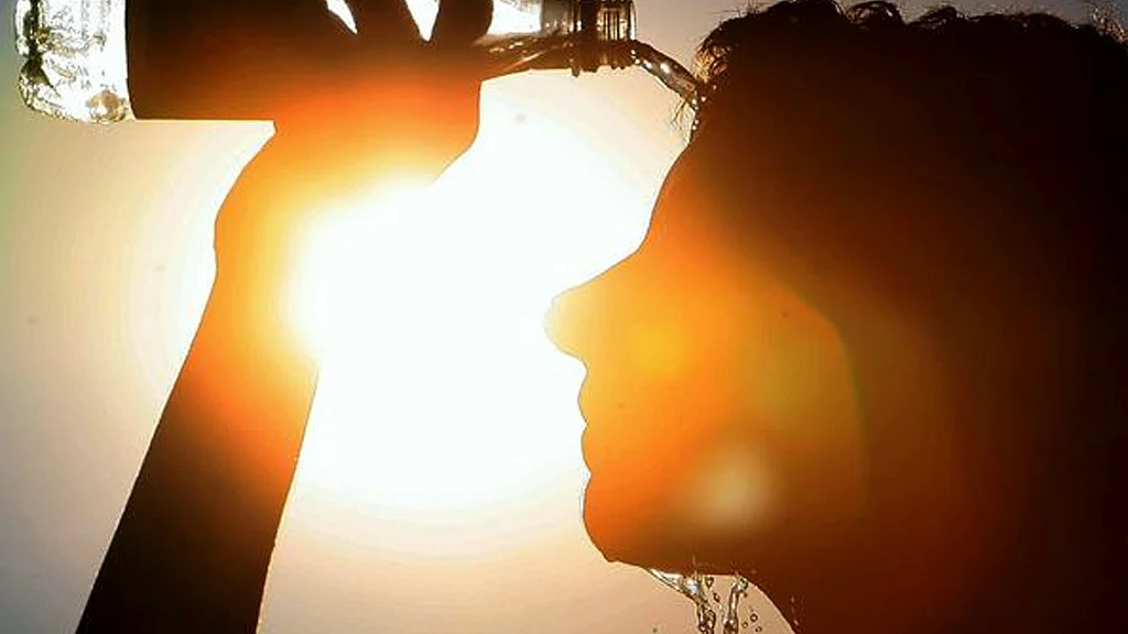 फोटो: सोशल मीडिया