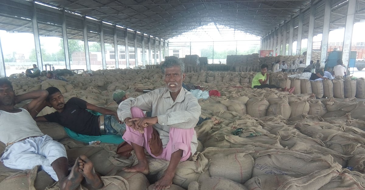 <b>गेहूं से पटी सोनीपत की नई अनाज मंडी (फोटो: धीरेन्द्र अवस्थी)</b>