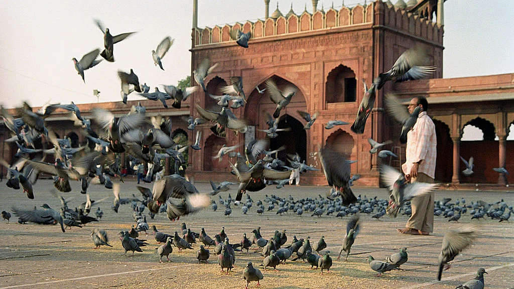 फोटो : Getty Images