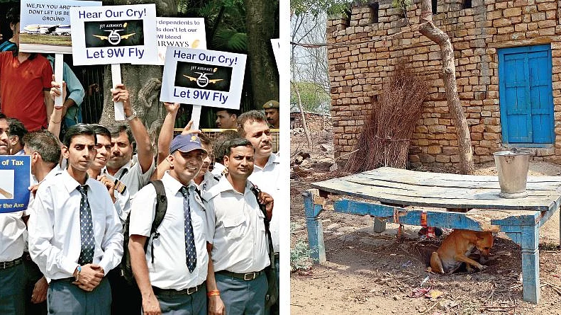 फोटो : सोशल मीडिया