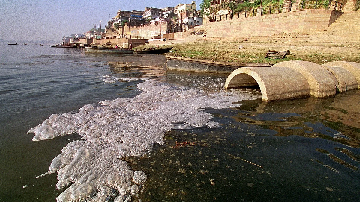 फोेटोः सोशल मीडिया