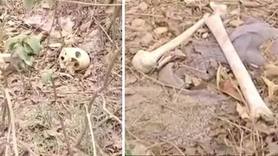 फोटो: सोशल मीडिया