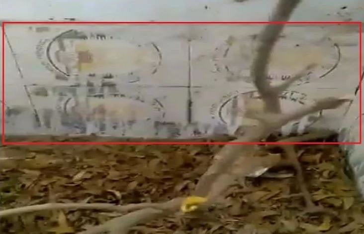 योगी राज में राष्ट्रपिता महात्मा गांधी का अपमान, सरकारी शौचालय में लगवा दी गांधी, ‘अशोक चक्र’ वाली टाइल्स