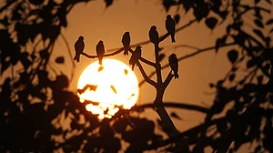 मैं उदास हूं, क्या इतनी नफरत इतनी हिंसा हमारे समाज में पहले से थी, क्या हम कभी अपने ही समाज को समझ नहीं पाए?