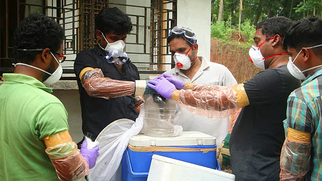 फोटो: सोशल मीडिया