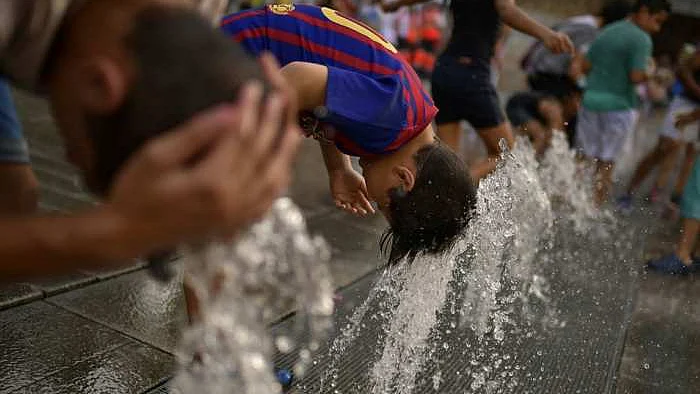 फोटो: सोशल मीडिया