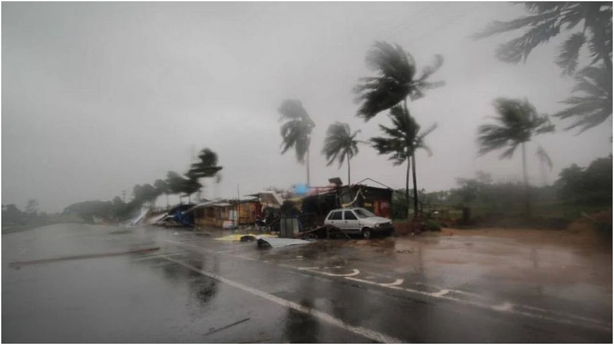 फोटो: सोशल मीडिया&nbsp;