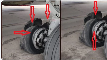 फोटो: सोशल मीडिया&nbsp;