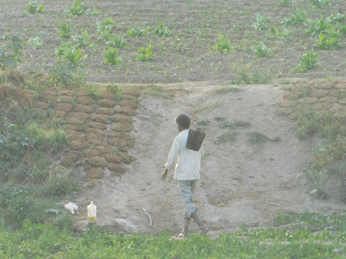 जलवायु परिवर्तन से घट रही है अनाज की पैदावार, अब पूरी दुनिया में बढ़ेगी भूख से पैदा संघर्षों की तादाद