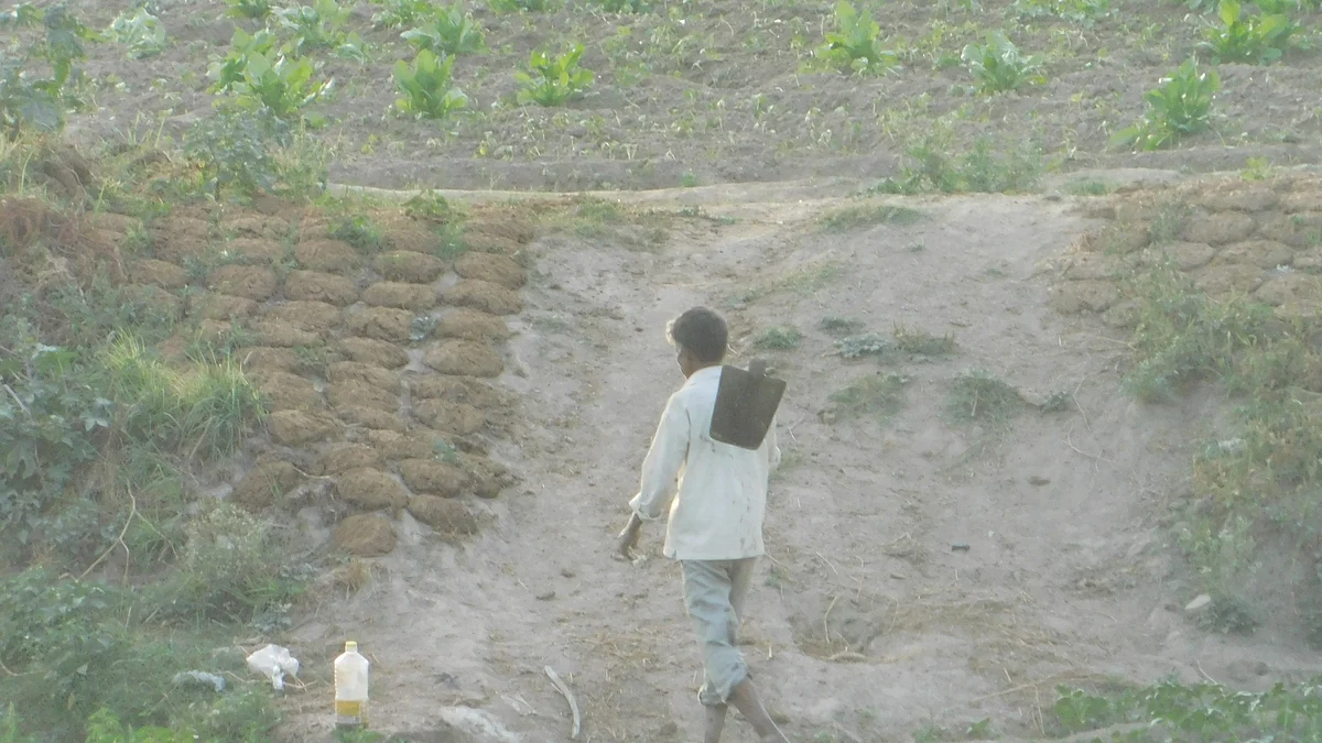 फोटो : महेंद्र पांडे