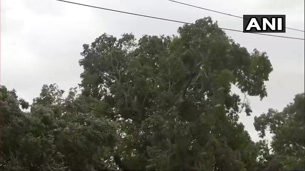 दिल्ली में आसमान से बरसी राहत की बूंदें, हल्की बारिश से लोगों को भीषण गर्मी से मिली राहत