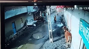 वीडियो: गुजरात में सड़क पर सनकी सांड का आतंक, पहले साइकिल फिर बाइक सवार को उठा-उठाकर पटका