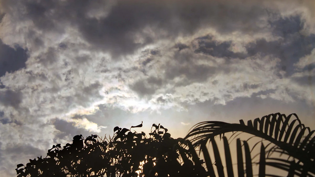 फोटो: आईएएनएस