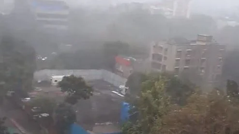 फोटो: सोशल मीडिया