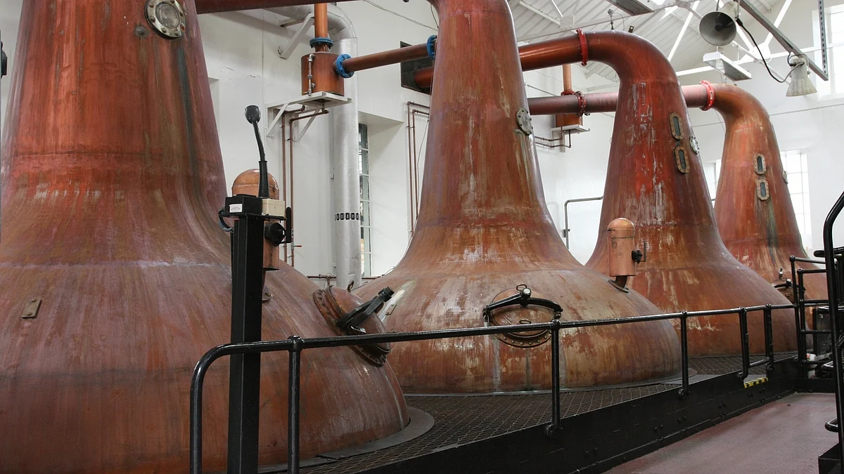 फोटोः सोशल मीडिया