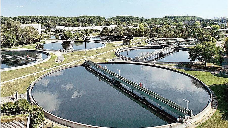 फोटोः सोशल मीडिया