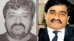 फोटो : इंटरपोल