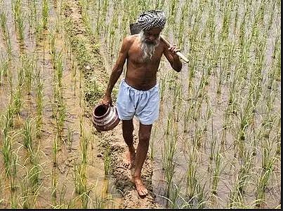 जीरो बजट खेती कुल मिलाकर मोदी सरकार का राजनीतिक स्टंट