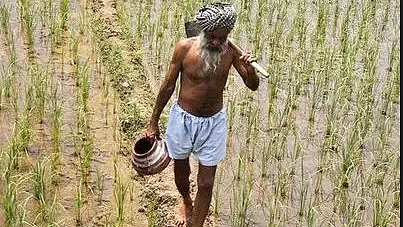 फोटोः सोशल मीडिया