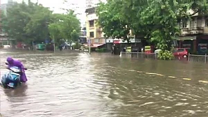 तस्वीरों में देखें बारिश से बेहाल मुंबई, सड़कों पर गाड़ियों की जगह मछलियां, एयरपोर्ट  और रेलवे ट्रैक भी डूबा