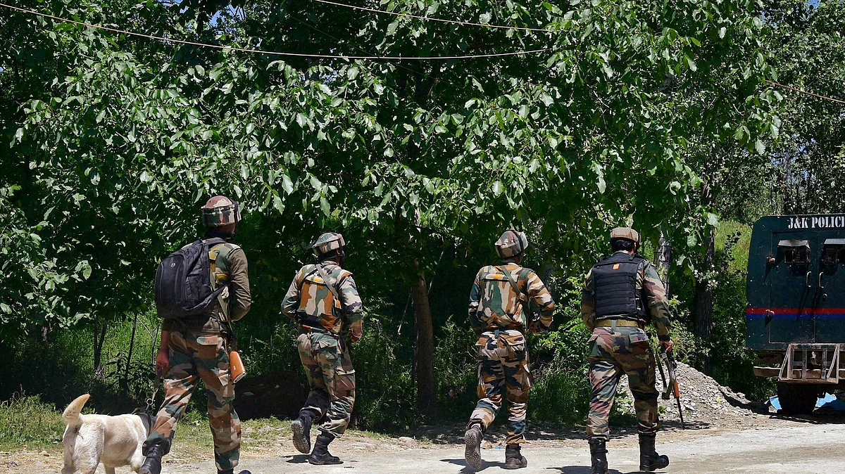 फोटो: सोशल मीडिया