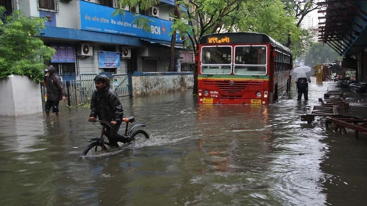 फोटो: सोशल मीडिया