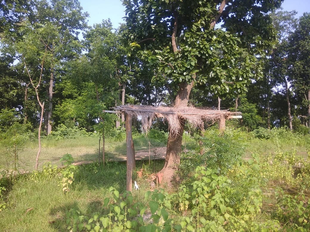 फोटो: मोहम्मद सरताज आलम